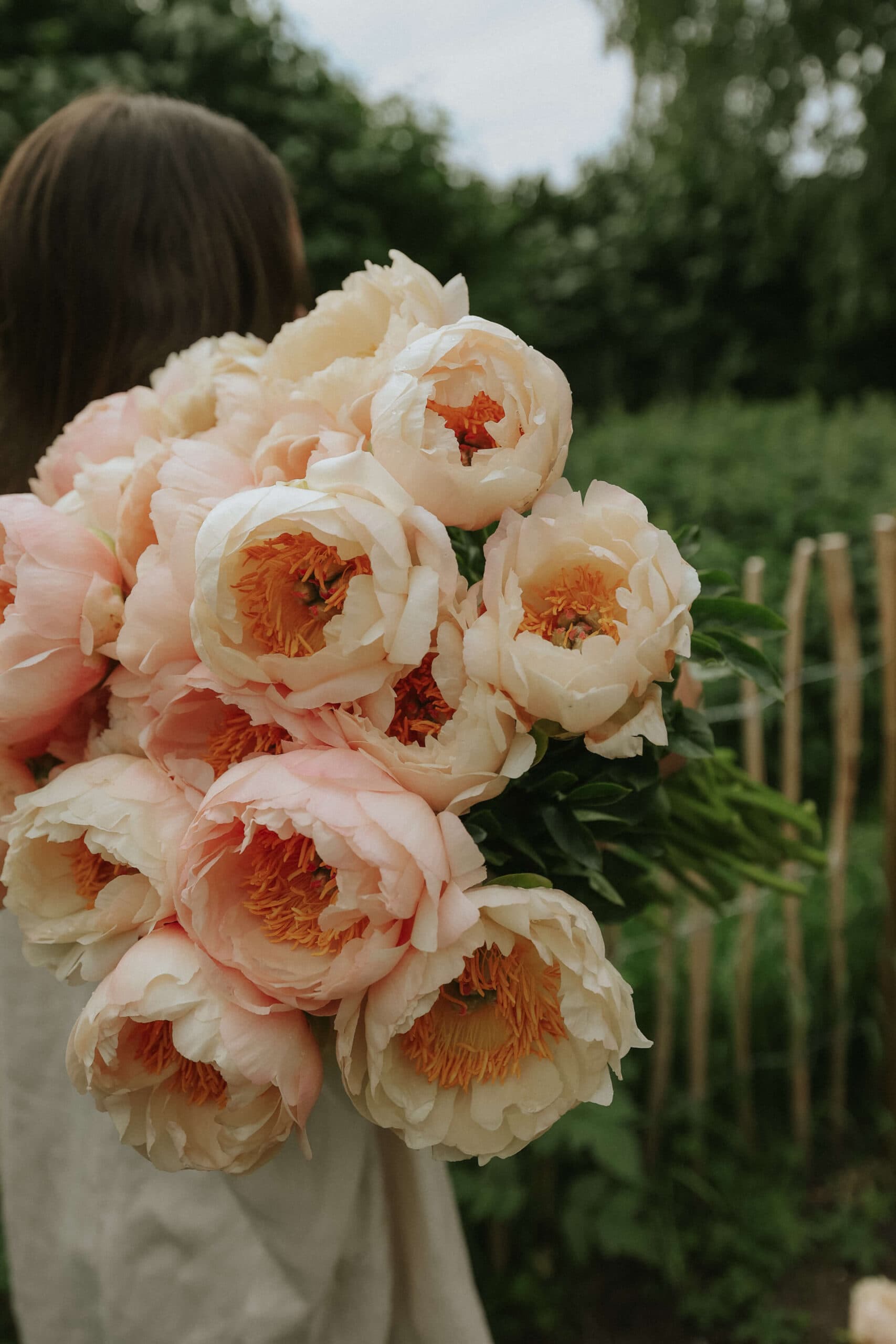 Балапандар сиқырды сорады